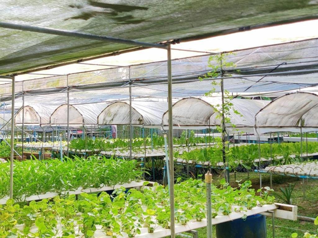The Willow Phangan Κο Πα Νγκαν Εξωτερικό φωτογραφία